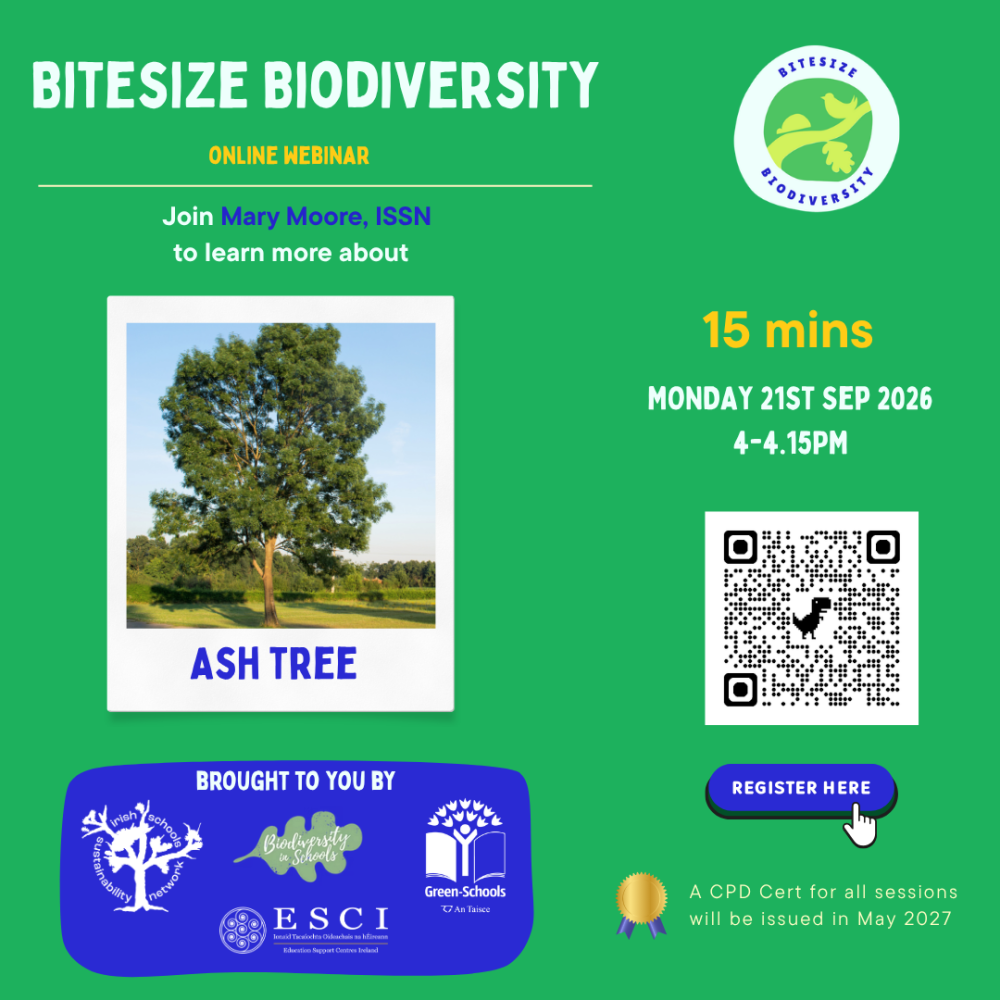 bitesize ash tree sep 21st 2026 2