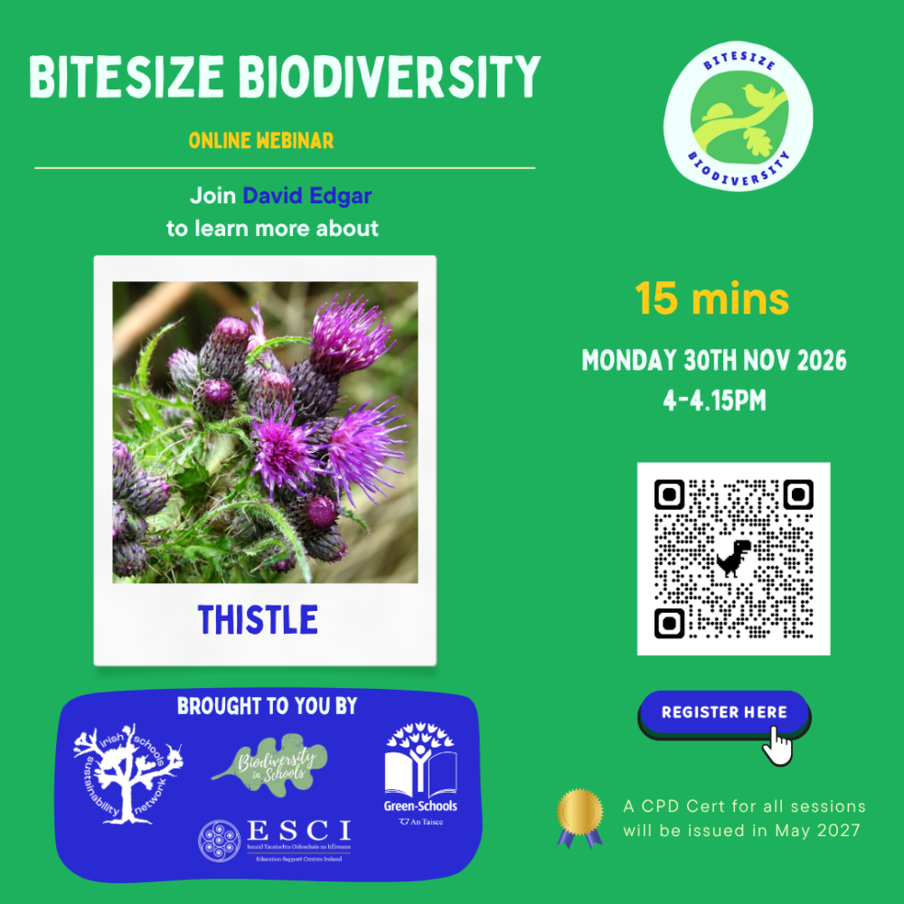 bitesize thistle nov 30th 2026 1