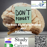 The Brain & Learning  Webinar