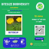 Bitesize Biodiversity 