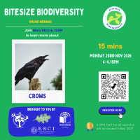 Bitesize Biodiversity     