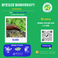 Bitesize Biodiversity     