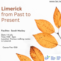 Limerick from Past to Present (Outdoor Walking Course) 