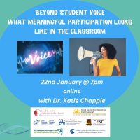Beyond Student Voice: What Meaningful Participation Looks Like in the Classroom.