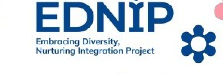 EDNIP Community of Practice in Mary Immaculate College