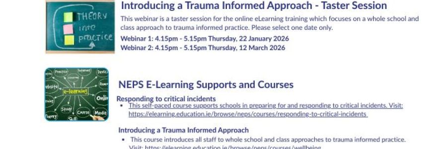 NEPS Post-primary Webinars - Spring Schedule